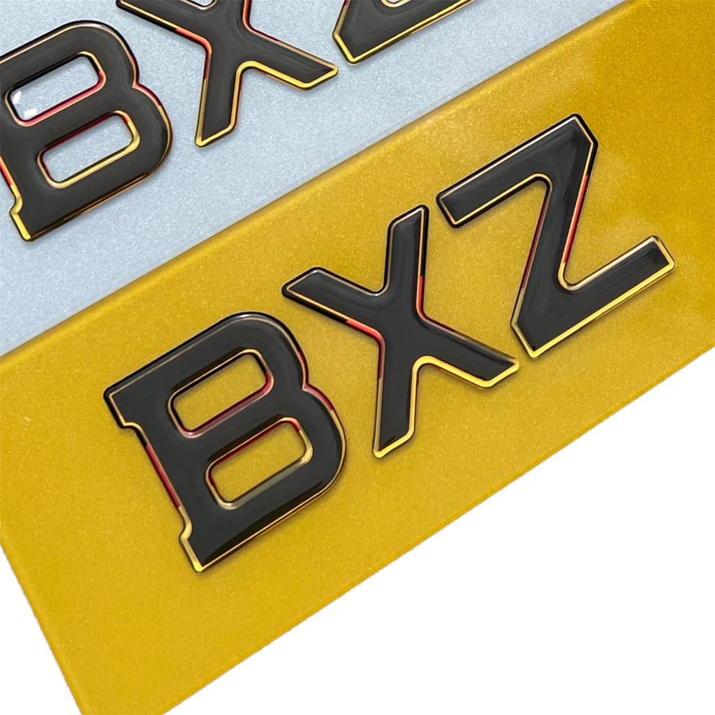"Premium 3D Gel Plate with German Outline - Customizable License Plates